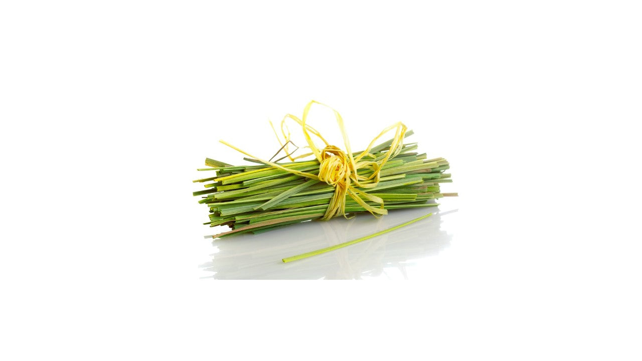 LACEY GREEN / lemongrass