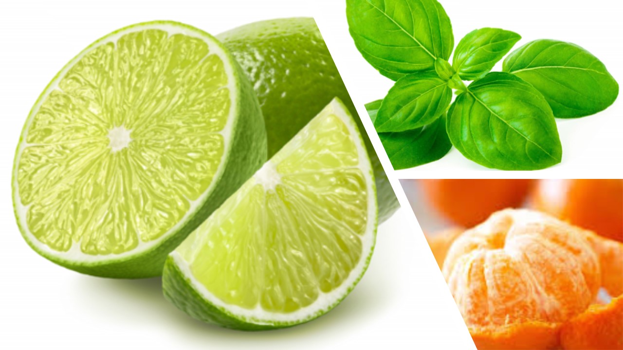 NAPHILL / lime + basil + mandarin