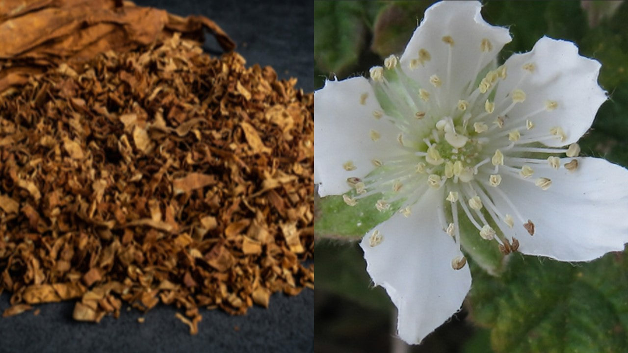 WALTER'S ASH / tobacco + oak