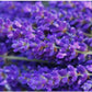 BLEDLOW RIDGE / lavender spa